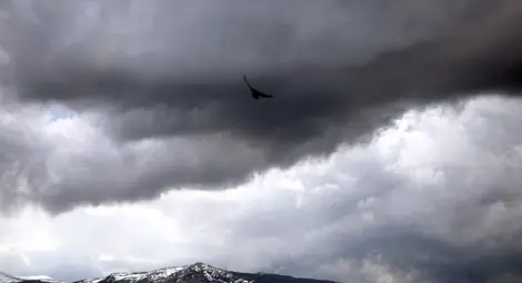 Хладна и дъждовна седмица Хладна и дъждовна седмица