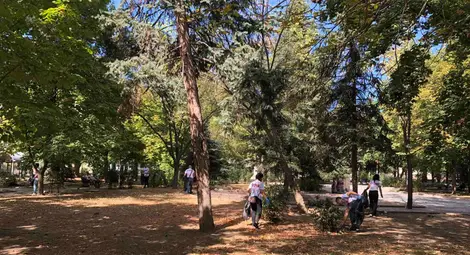 Близо 360 кг фасове и отпадъци събраха доброволци на &bdquo;ПромениКартинката&ldquo; в 4 български града /галерия/