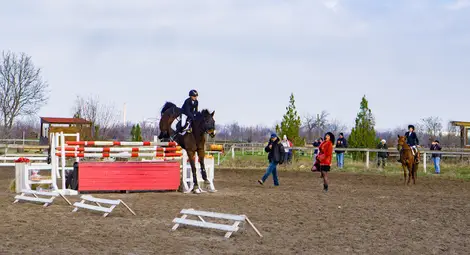 Конно шоу в Русе по повод Тодоровден