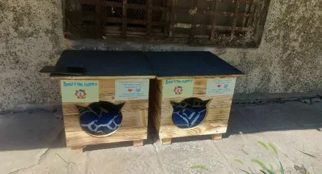 Поставиха в Световният ден на котката първите къщички за бездомни котки в Русе /галерия/