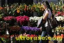 Температурни рекорди в цялата страната, в Плевен е 21 градуса