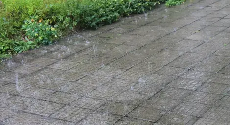 Обстановката в Североизточна България след снощните проливни дъждове е спокойна