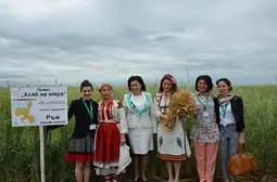 Танева меси хляб в Кубрат /галерия/