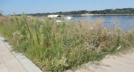 Кеят - строителен обект в руини, тишина и без строителите