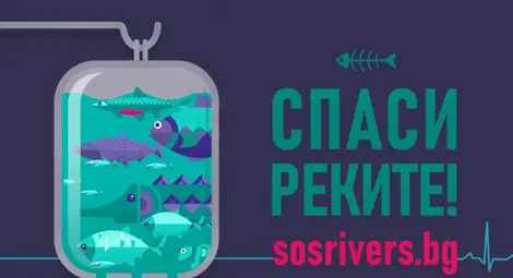 Над 60% от рибните популации в Дунав и притоците му са изчезнали през последните 20 години Над 60% от рибните популации в Дунав и притоците му са изчезнали през последните 20 години
