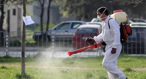 Нови пръскания срещу комари в Русе и общината предстоят през седмицата