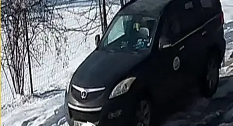 Затвор от 1 до 4 години и глоба до 5000 лева грозят стрелците по куче в приюта