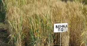 Ден на отворените врати в  института „Образцов чифлик“