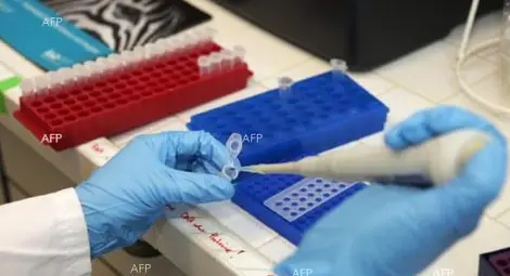 Полезни бактерии помагат да се избегне развитието на астма Полезни бактерии помагат да се избегне развитието на астма