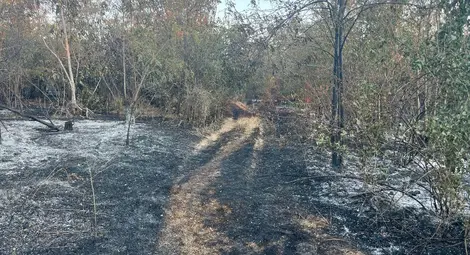Пожарът до Средна кула погълна почти половината от гората над квартала Пожарът до Средна кула погълна почти половината от гората над квартала