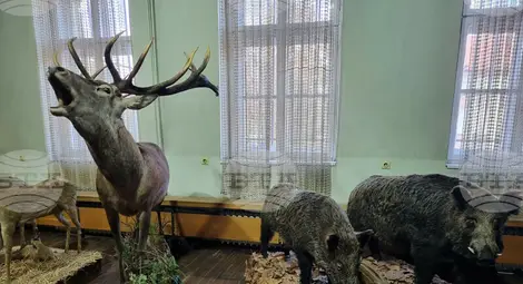 Снимка: БТА Снимка: БТА