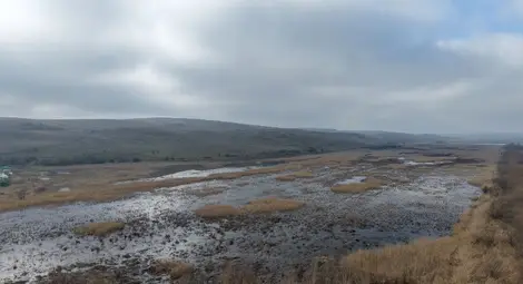 Областният управител Орлин Пенков поиска спешни мерки&nbsp;  за разрешаване на кризисна ситуация със залети&nbsp;  близо 5000 декара обработваеми площи край село Караманово