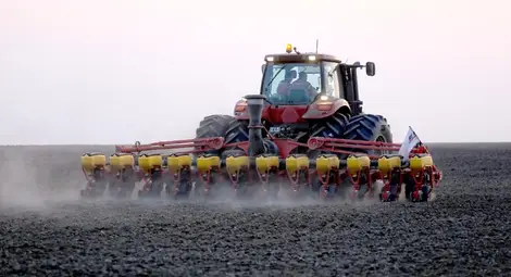 Засяха 457 хиляди декара  слънчоглед в областта