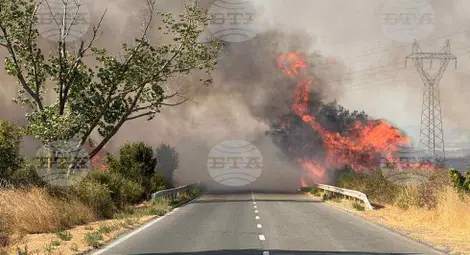 Снимка: БТА