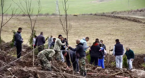 Над 2.5 милиона за отглеждане и залесяване на горски култури вложени в Габрово, Велико Търново, Русе, Силистра и Разград