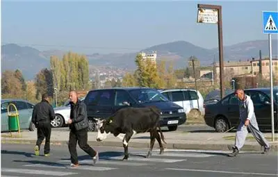 Кравар спечели 3 съдебни дела срещу полицията без адвокат