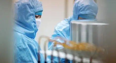 Нова мутация на К-19, по-опасна ли е? Нова мутация на К-19, по-опасна ли е?