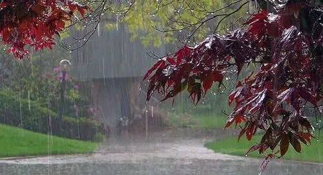 Прогноза за времето за 24 януари 2013 г.