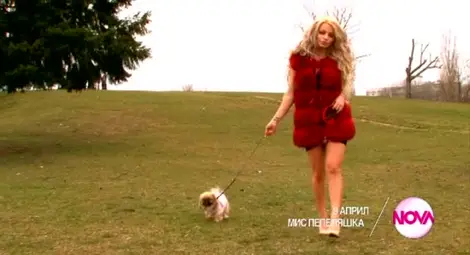 Стотици момичета мечтаят да са &bdquo;Мис Пепеляшка&rdquo; по Нова