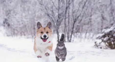 Ще ни поднесе ли изненади времето през новата седмица