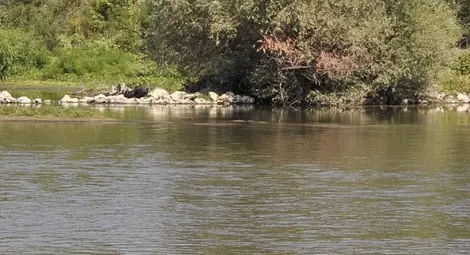 Тийнейджър се удави в река Огоста в Монтанско Тийнейджър се удави в река Огоста в Монтанско