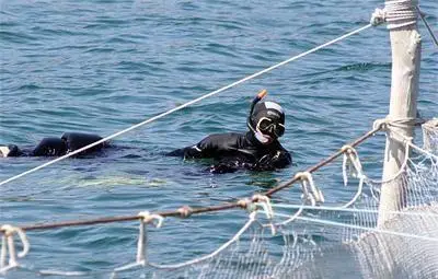 Спасителна верига търсила изчезналото в морето момче