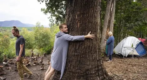 Мушкатото и лавровото дърво предпазват от вируси