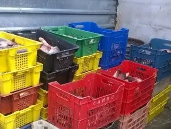 2660 кг риба иззета при нарушения само за 3 дни