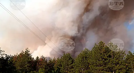 Снимка: БТА Снимка: БТА