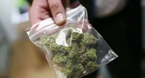 Цивилни полицаи ще дебнат наркодилъри около училищата