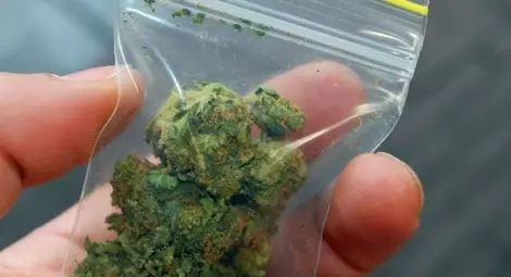 Русенец задържан с плик марихуана на автогарата в София