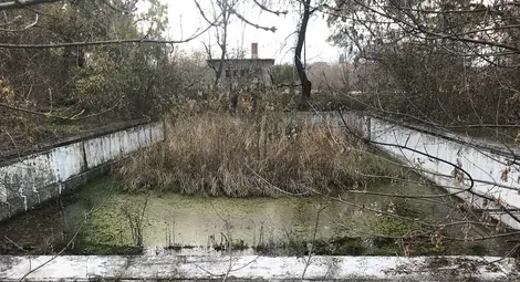 Някогашният басейн, събирал малки и големи в горещите летни дни, днес е сива и тъжна гледка.                Снимка: ВМРО