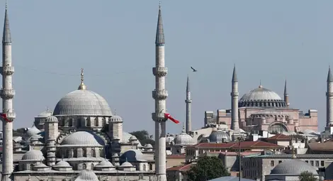 Още една изселническа организация ще съди България заради изборите