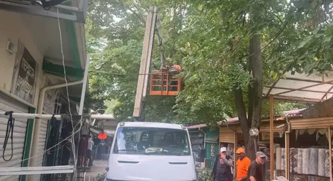 В Русе над 230 служители от дежурните екипи отстраняват щетите след снощната буря В Русе над 230 служители от дежурните екипи отстраняват щетите след снощната буря