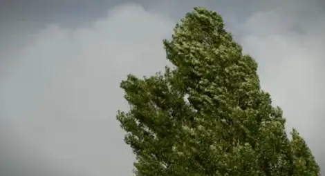 Западен вятър със сила 86 км/час вилня в Русе