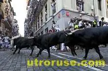 Бикове прегазиха четирима души в Памплона 