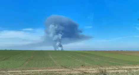 След пожара в Стълпище: Екоинспекцията сигнализира прокуратурата за нарушение в защитени зони от &bdquo;Натура 2000&ldquo;