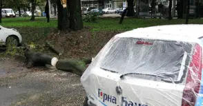 Огромен клон затисна две коли на паркинг