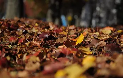 До 25 градуса утре, сутринта ще има мъгли