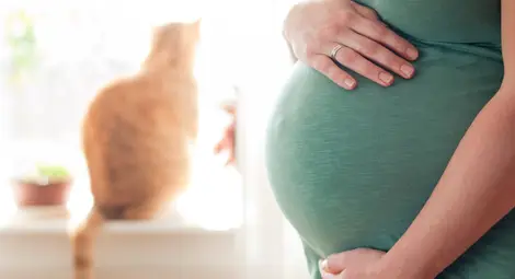 Странни суеверия за бременността