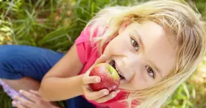 438 фирми доставят плодове, зеленчуци и мляко в училища и детски градини