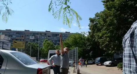 Срязан кабел за телевизия  едва не помете играещи деца