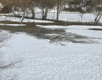 С близо метър се е покачило нивото на река Русенски Лом за 24 часа край село Красен, Мали Лом край Нисово е на около 10 см.   от точката на преливане