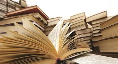 Раздипляне на страниците на литературната история на Русе