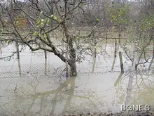 Селски кладенци с питейна вода под наблюдение в Русенско Селски кладенци с питейна вода под наблюдение в Русенско