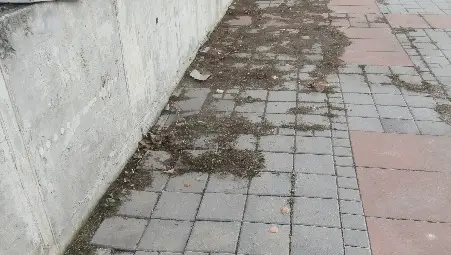 Пейзажът пред спортната зала: Потрошени плочки, ръждясали железа и мизерни прашасали знамена