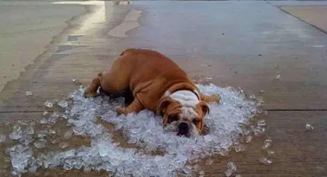 Времето в сряда - слънчево и горещо 