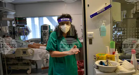 Снимка: БТА