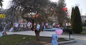 Дървото на влюбените разцъфва с над 150 Валентинки