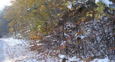 Първият сняг ще ни изненада на 19 октомври